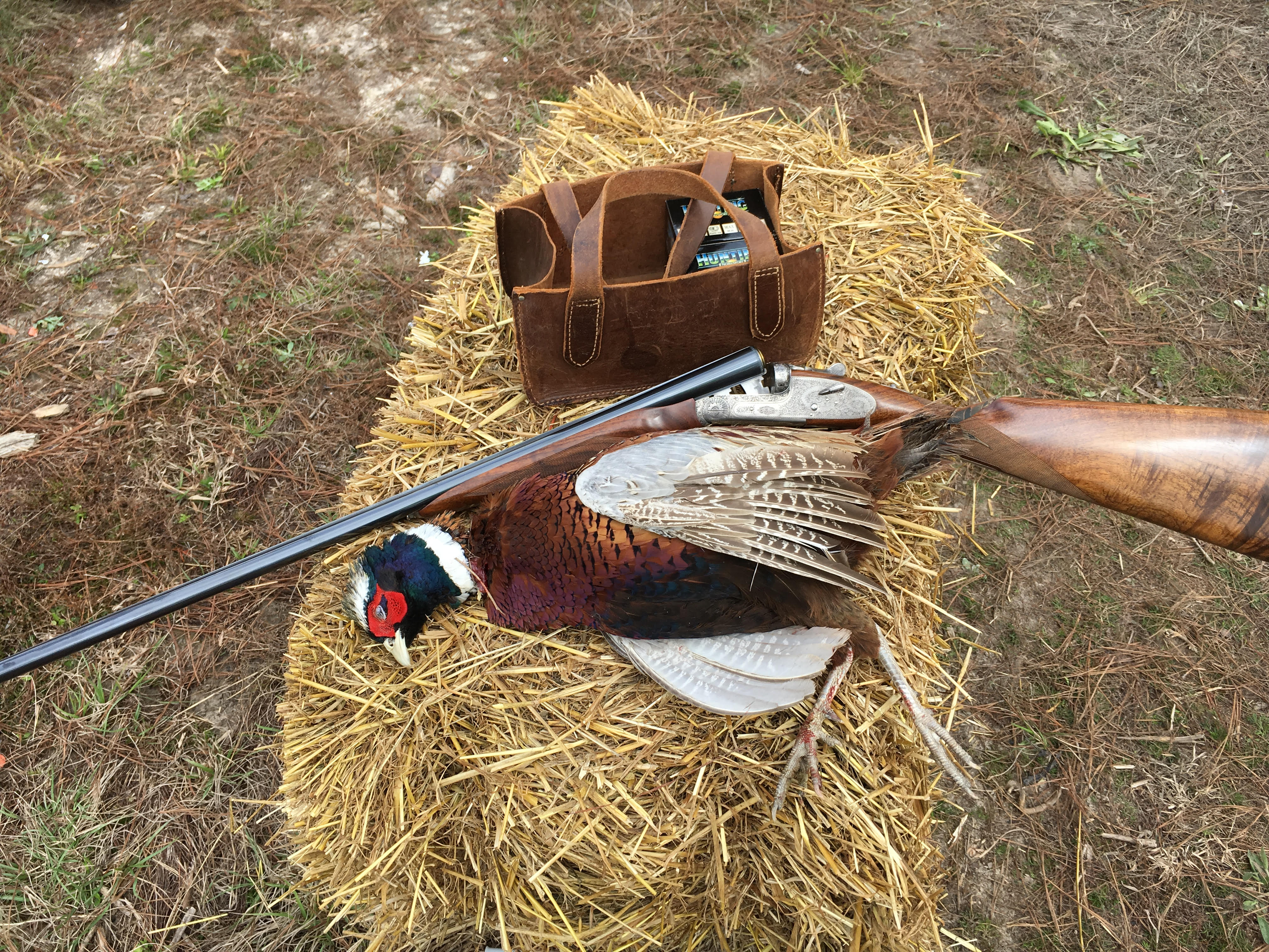 Pensacola Gun Range Florida Santa Rosa Shooting Center