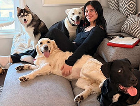 dog daycare and over-night sitting clients hang out on a peaceful couch. they just finished playing and are relaxing together