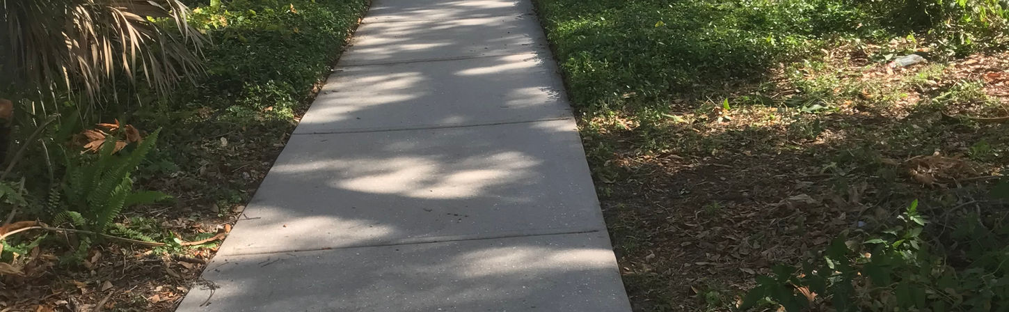 Commercial work in Zephyrhills Fl.