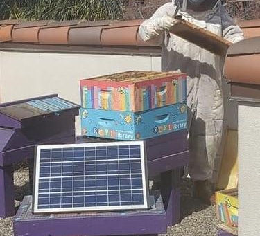 Meet & Greet with RCPL's Beekeeper Kendal Sager