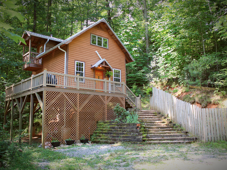 Tadpole Cabin - Old Fort, North Carolina
