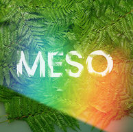 Meso_Ingredient_Detail_220 copy 2_edited.jpg