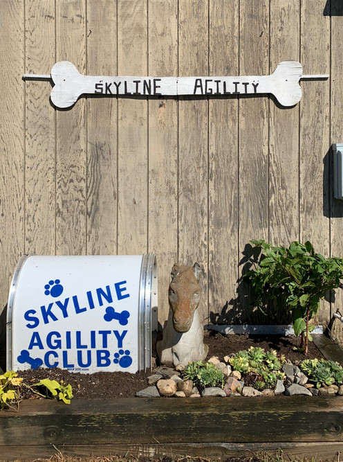 skyline agility club