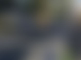 箱根駅伝での宣伝効果はバッチリ?