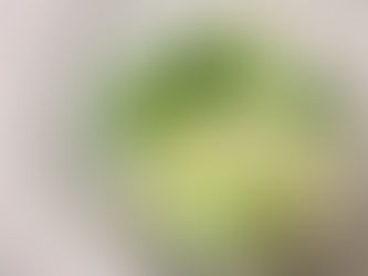 簡単ヤーコン料理を紹介します。