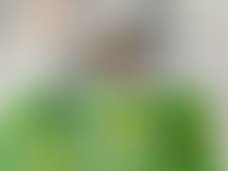 予約していた本が届きました。