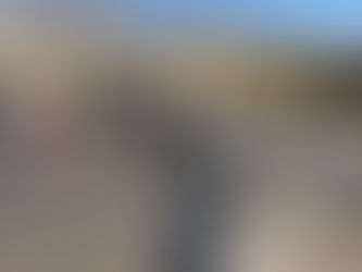 大磯運動公園のパークランに参加してきました。