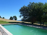 P1000459.JPG