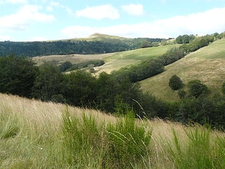 lachamp paysage..JPG