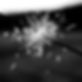 Sparkler_edited.jpg