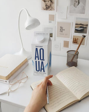 Focused Workspace with Natural Calm