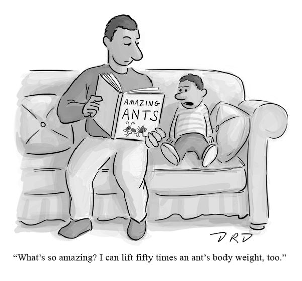 childrens ant book_600px.jpg