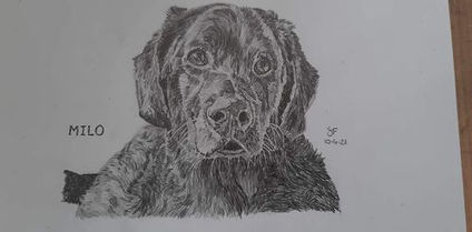 Milo.jpg
