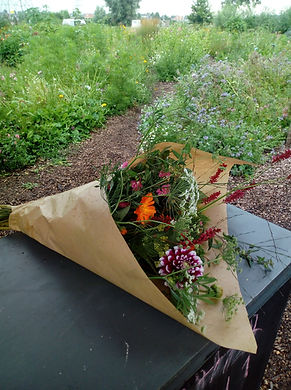 IMG_20190720_155227.jpg