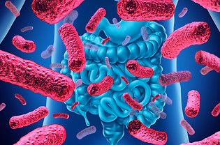 Microbiome.jpg