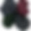 Thumbnail: Essential Elements Bulky Yarn by Natural Fiber Producers