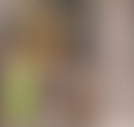 Dancers In the News 4