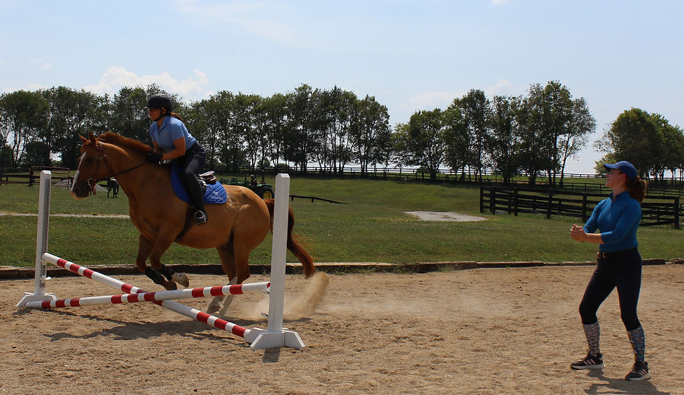 Willow jump .JPG