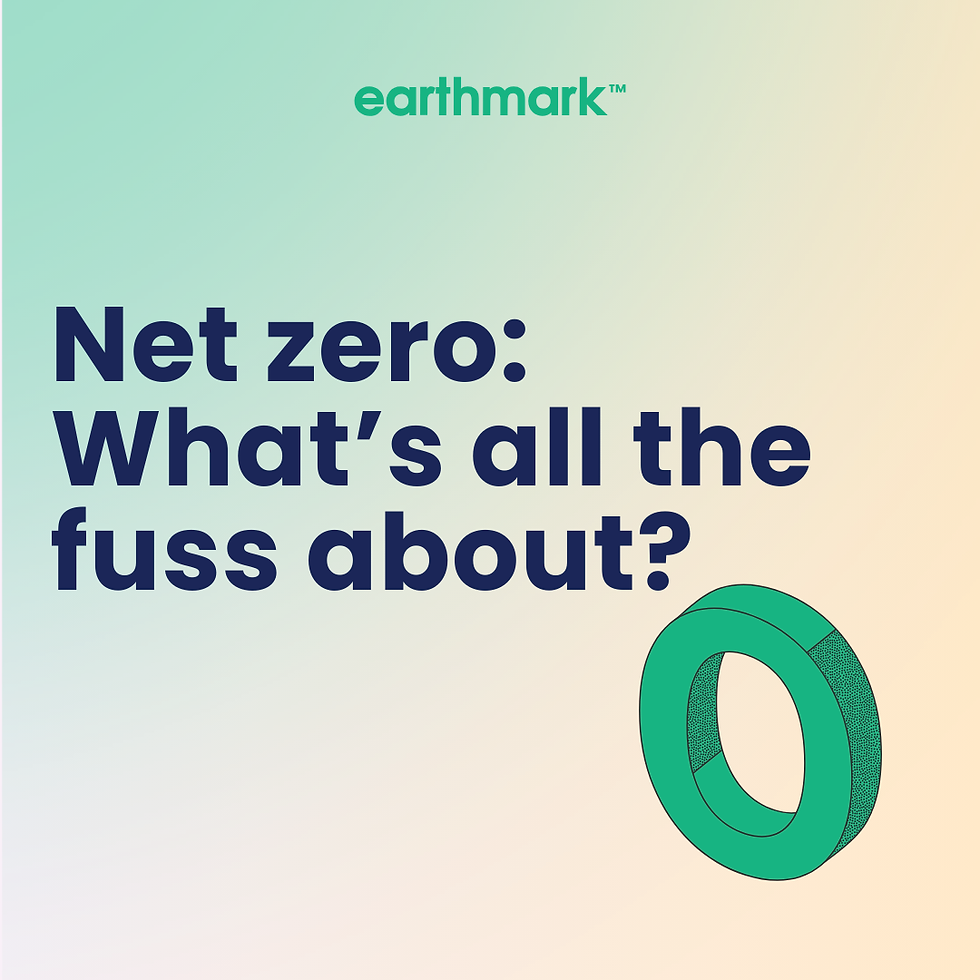 Net zero: what is it?