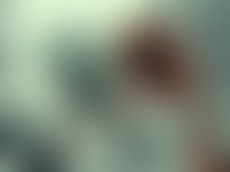 REFLEXÕES Nº 111 — 07/04/2024