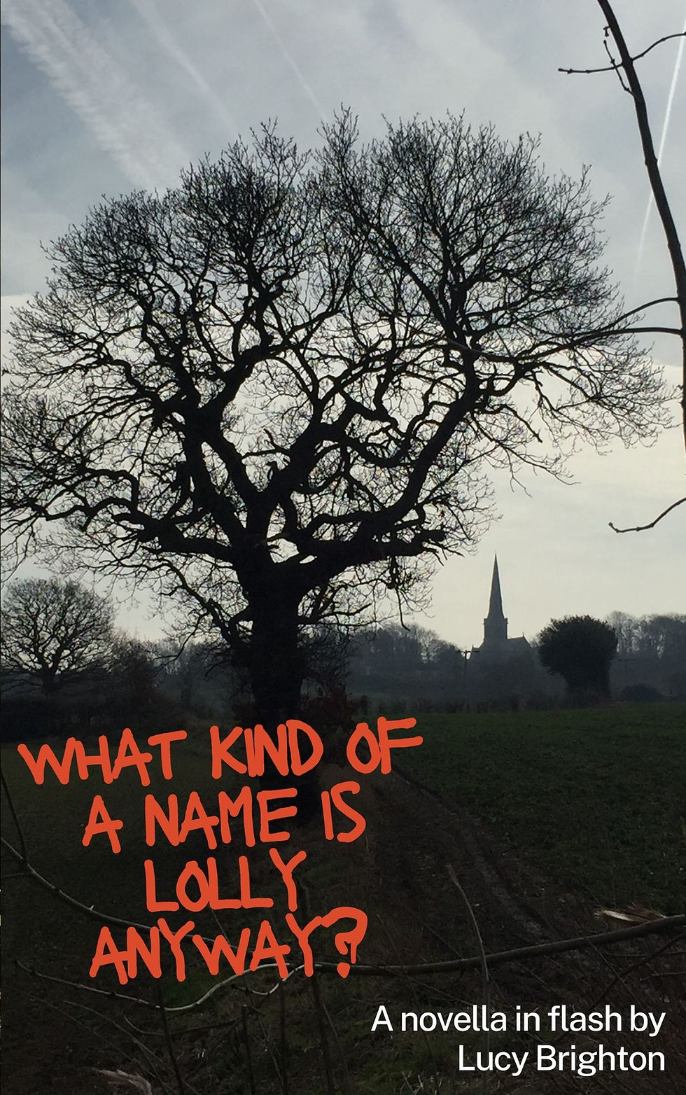 Picture of front cover