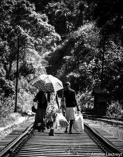 "Walk on the wild side"