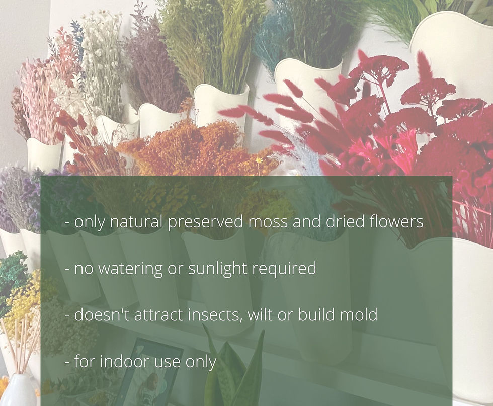 Thumbnail: RuMoss | Moss Wall Art | Preserved Moss | Panels | Rectangular | Color Pop | Ha