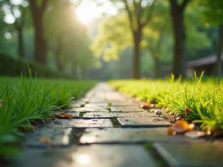 Capture Your Story: Book Your Headshot Today