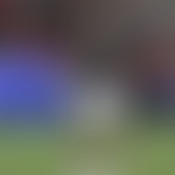 Wolves lideram a perseguição ao internacional brasileiro André