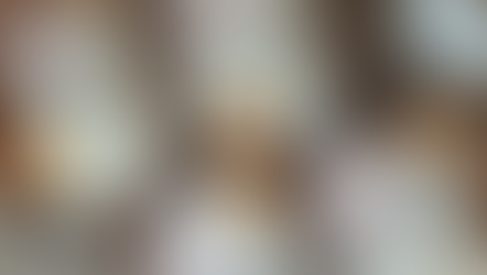 Estrutura e Composição de Embalagens Criativas