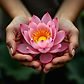 6d3cc31c9c6fdb18cf767a40b4bd4be9.jpg