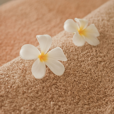 Ontwerp zonder titel (2).png