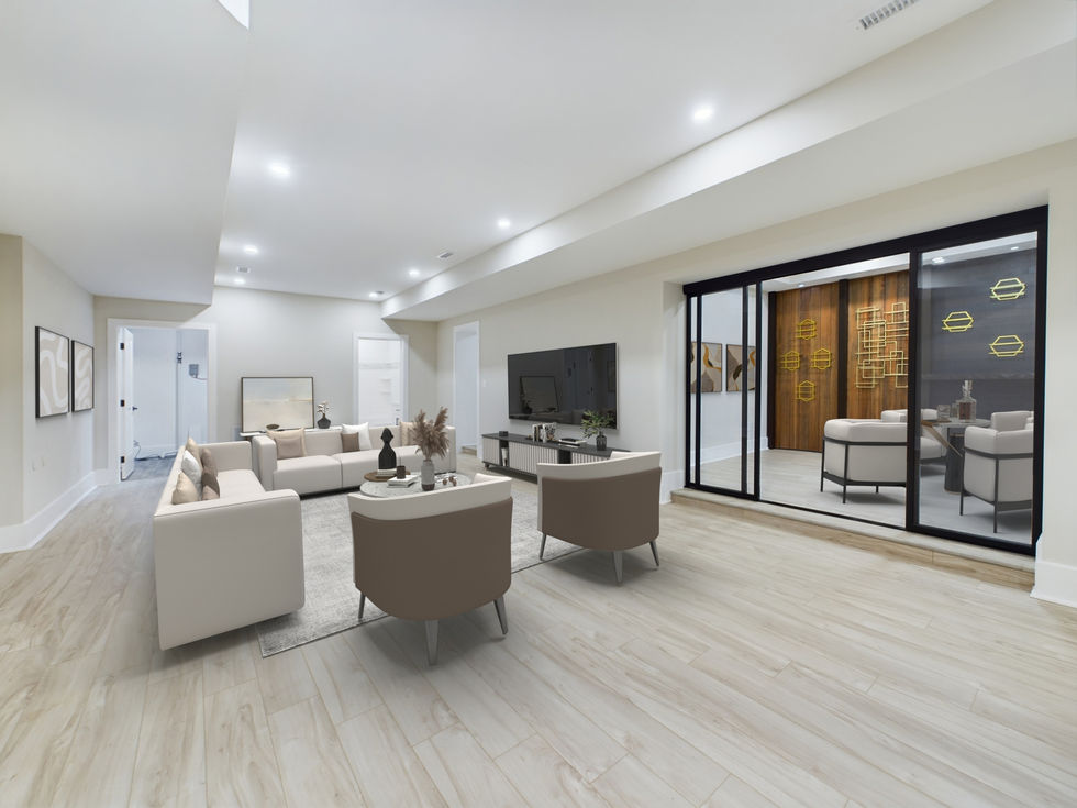 Basement Living Room