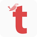 turkifyLogo_edited.png