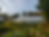 Screenshot 2024-08-11 at 6.55.46 PM.png