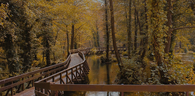 walking-path-header_edited.jpg