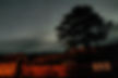 Dark skies sq.jpg