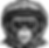 MONKEY HELMET MOSSY B&W.png