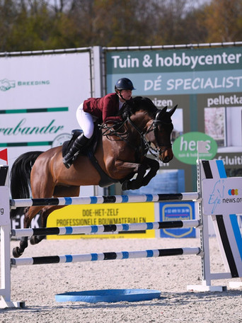 water filter for horses