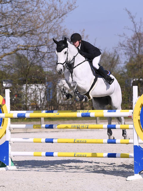 vandfilter til brug med heste