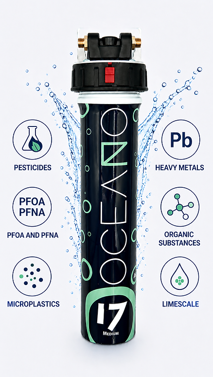 Italian water filter with quick change cartridge 
