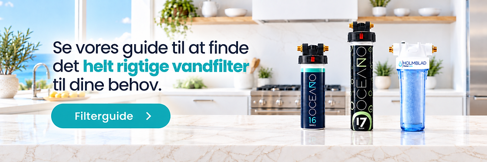 Scandinavian Kitchen Water Filter Guide.png