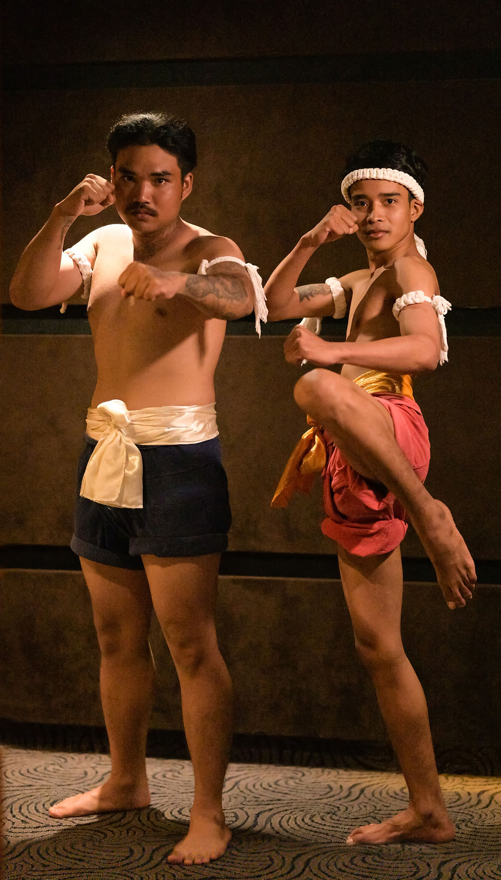 A new project - The wandering martial artist, a study of the way