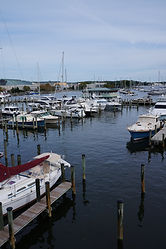 422BE5B7-9E66-4404-9308-24463DEA8C42DSC01335.jpeg