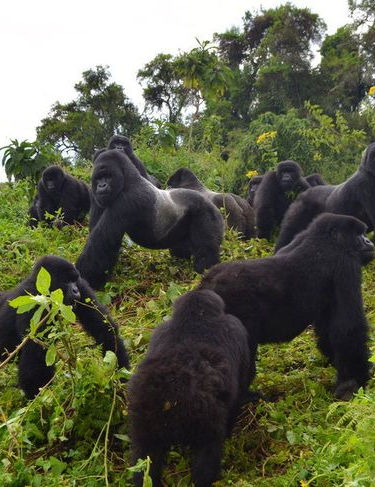 Uganda