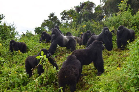 Uganda