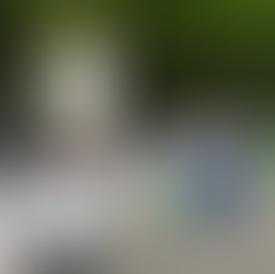 National Catholic Register Takes a Swipe at Bayside