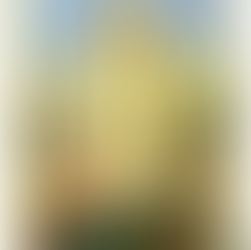 Providential Warnings Tied To The Last Apparition of Fatima