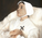 Approved 19th Century Mystic Revealed Christ’s Anguish over the New Mass to Come