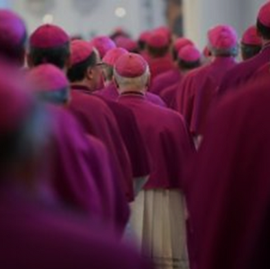 To the Catholic Bishops of America